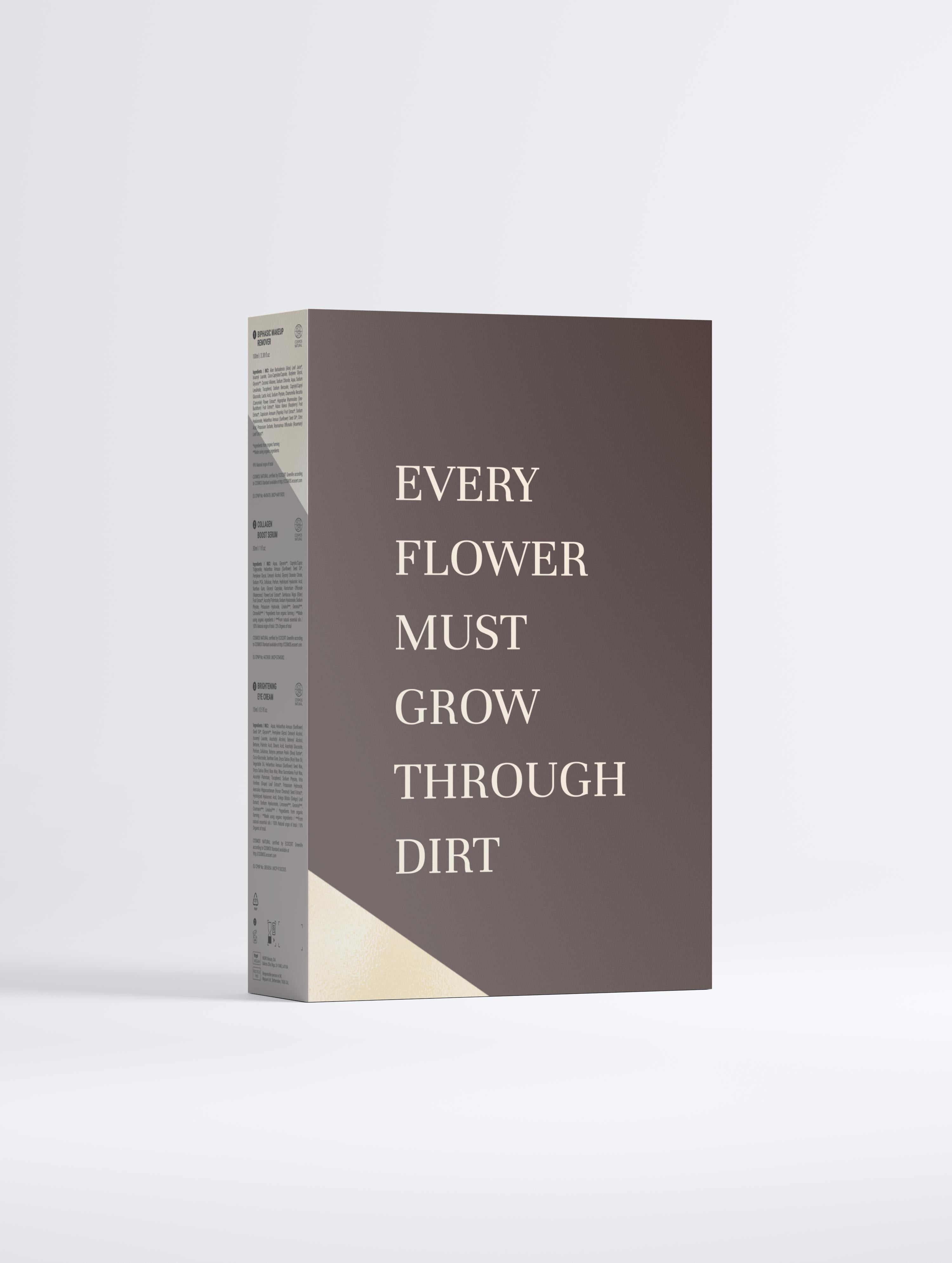 Luminous Skin Collection Box